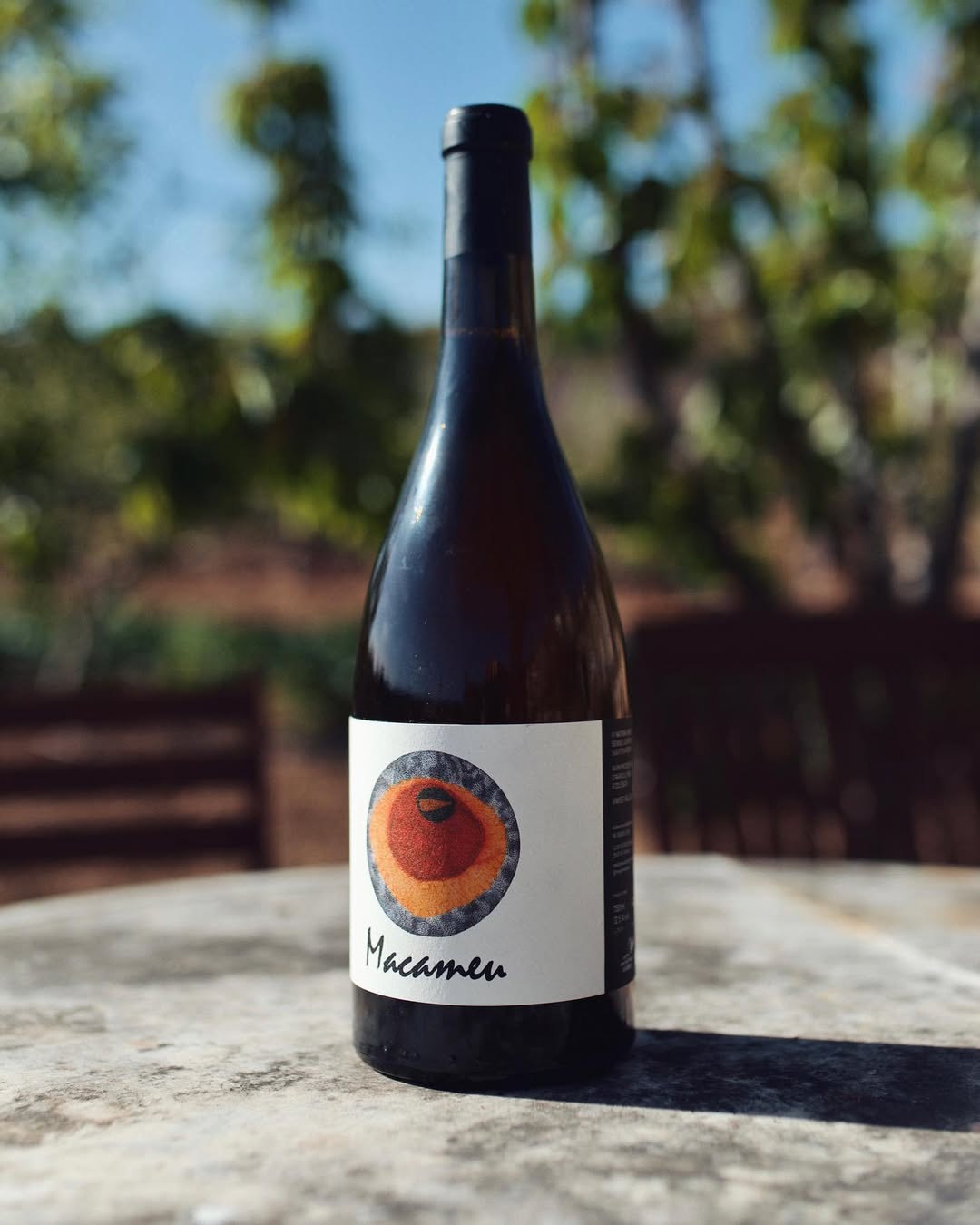 Botella de Macameu sobre piedra, con la viña al fondo