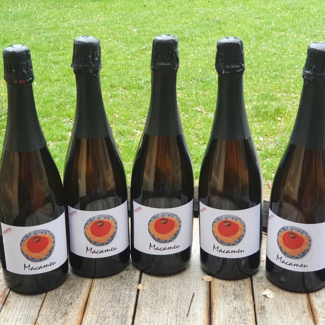 Botellas de Macameu Ancestral recién embotelladas