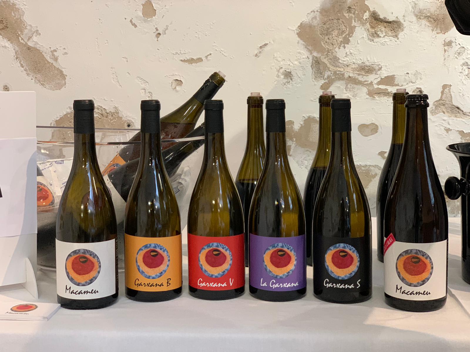 Botellas de Macameu y Garxana alineadas para una cata