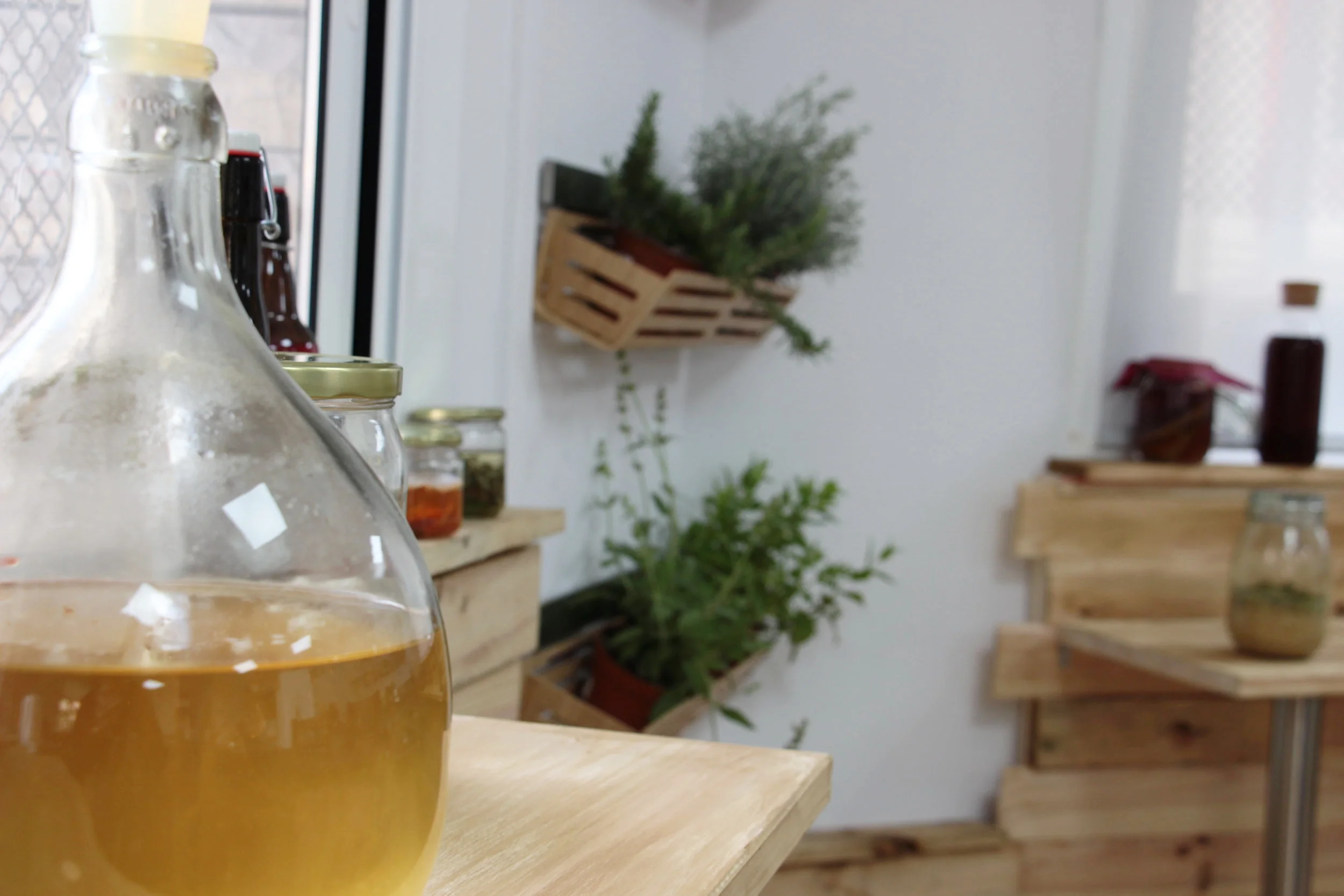 Damajuana con hidromiel en fermentación junto a la ventana del aula