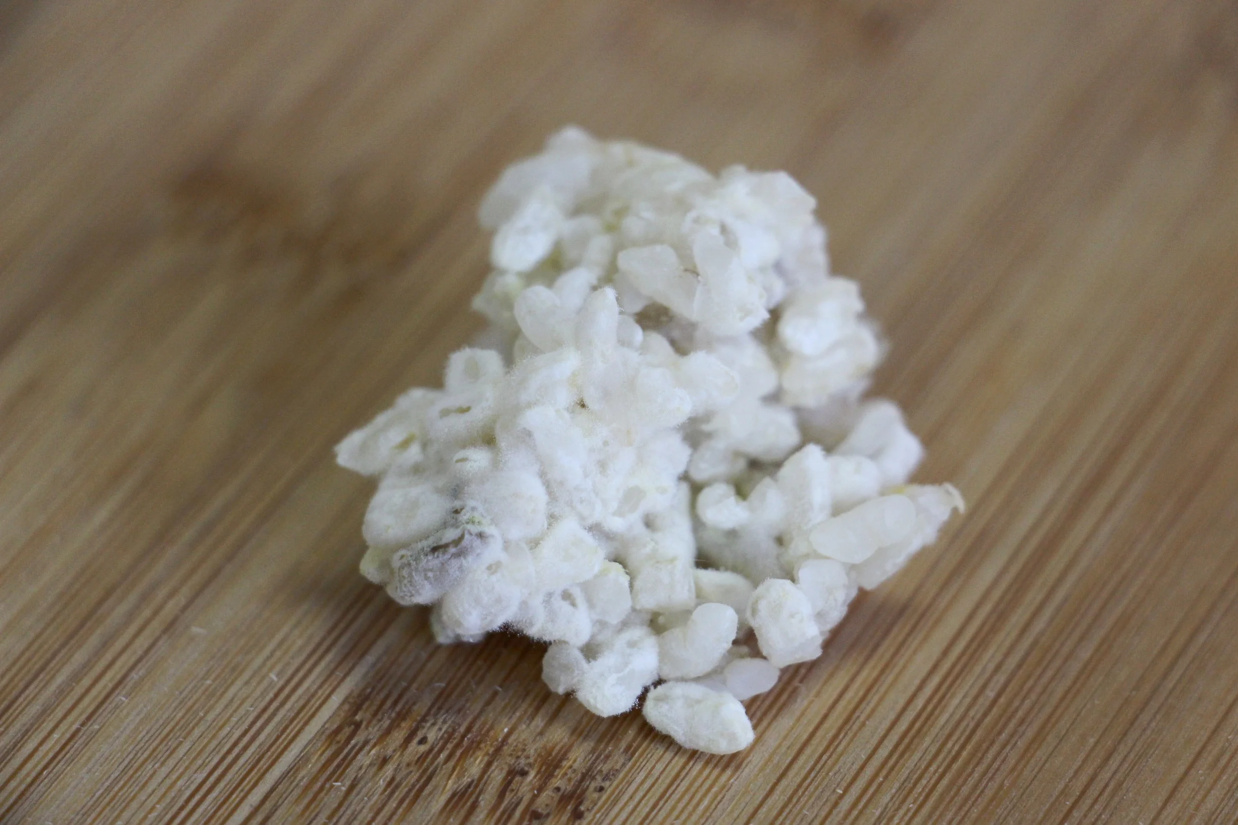 Gránulos de kéfir de leche sobre tabla de madera