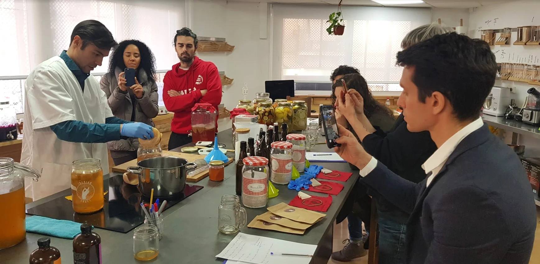Kombucha en elaboración