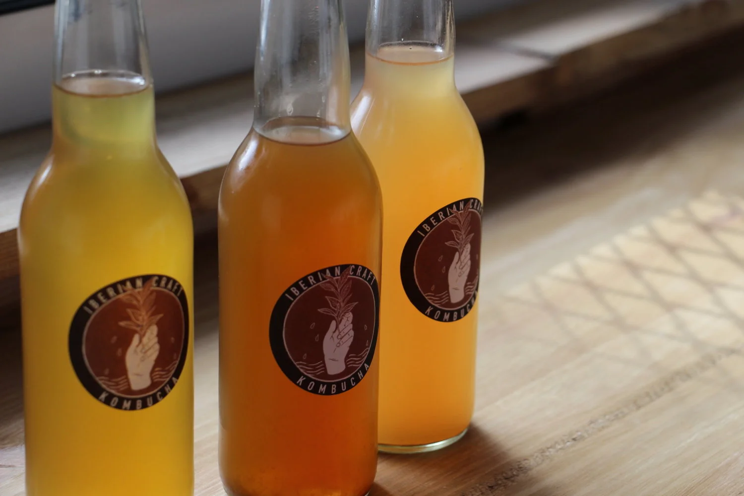 Botellas de kombucha del archivo histórico del Instituto