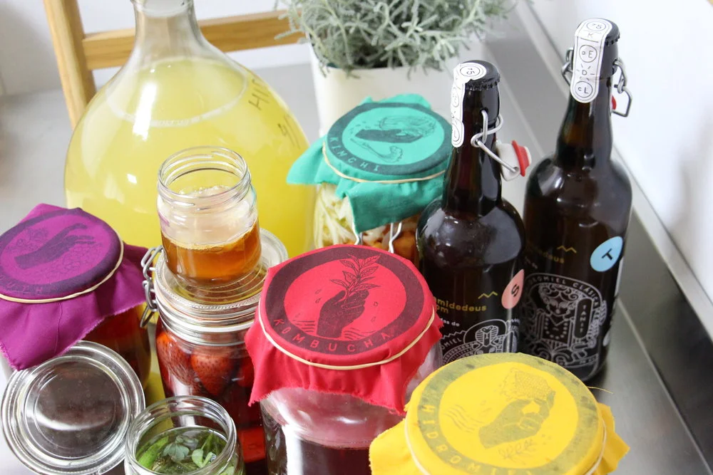 ¿CONOCES QUÉ SON LOS FERMENTADOS?