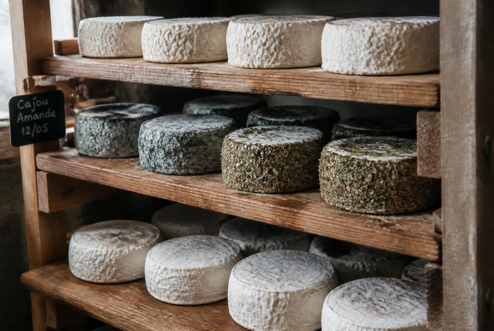 Piezas de queso de anacardo y almendra afinándose sobre tablas de madera, con cortezas naturales, de ceniza vegetal y de hierbas
