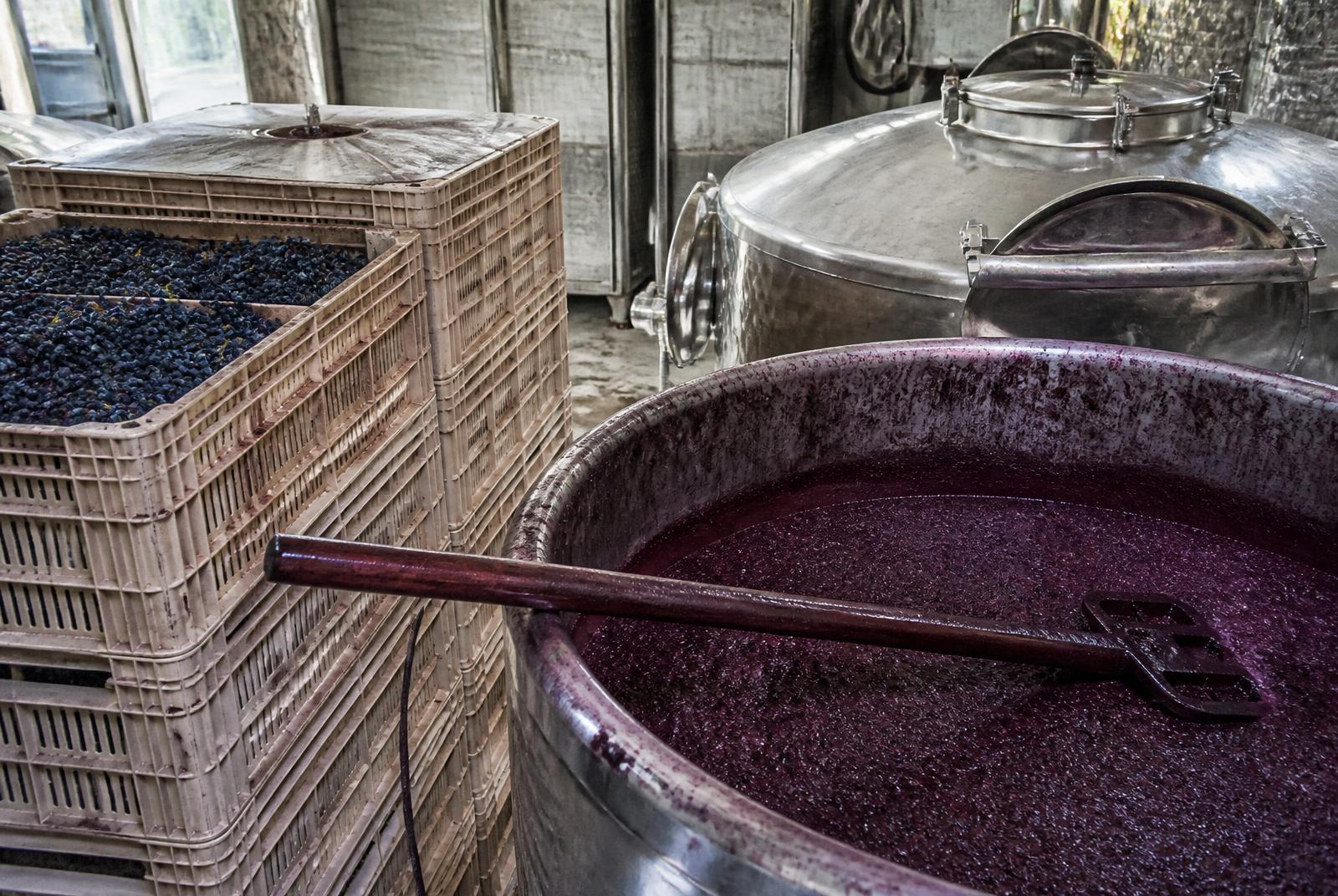 Cajas de uva tinta recién vendimiada junto a un depósito de acero con mosto en fermentación y un bazuqueador de madera