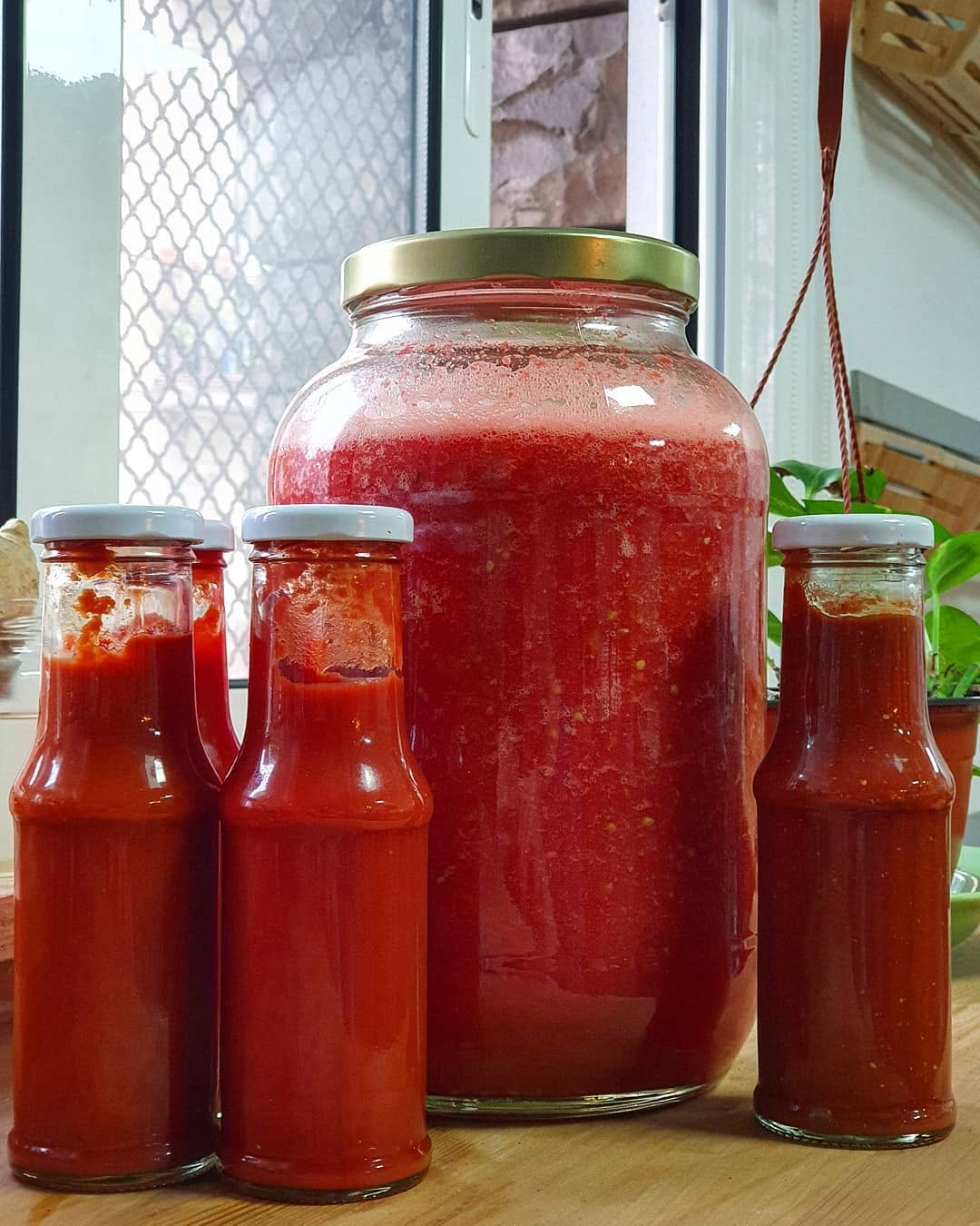 👉🍅Listos una madre y 4 variedades de probiotico naturales con variedades locales y , super sencillos de hacer aho