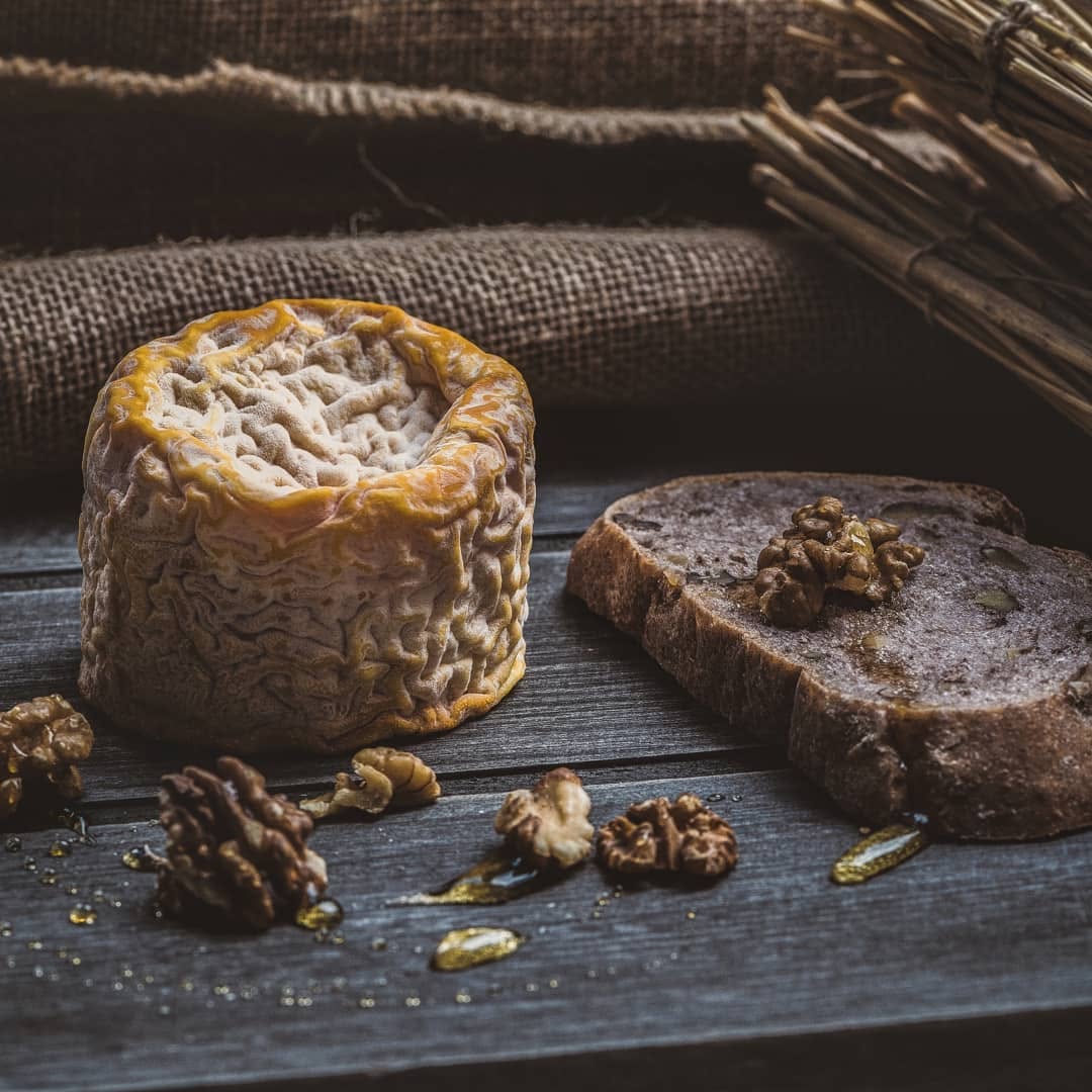 Queso + pan de bagazo ¿Cuando te apuntas a uno de nuestros cursos?