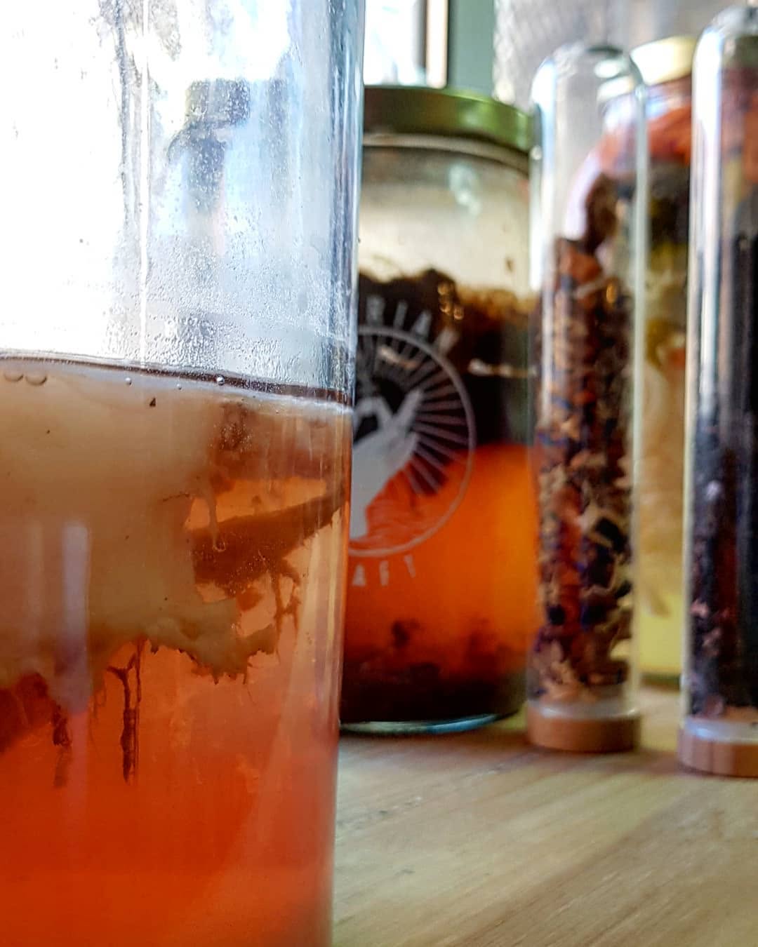 🔊El futuro de la cocina y de la salud se basa en la alimentación fermentada, todo un mundo por descubrir. Nuestro curso