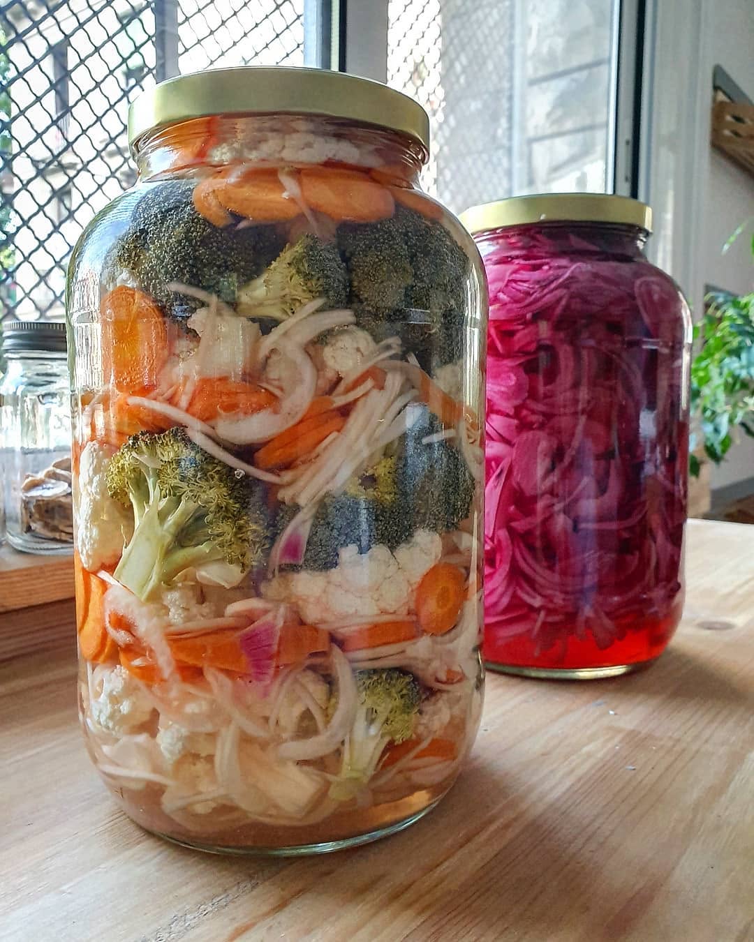 👉Encurtidos lactofermentados de estilo nórdico aprende a elaborarlos en nuestros cursos, también los podrás encontrar en