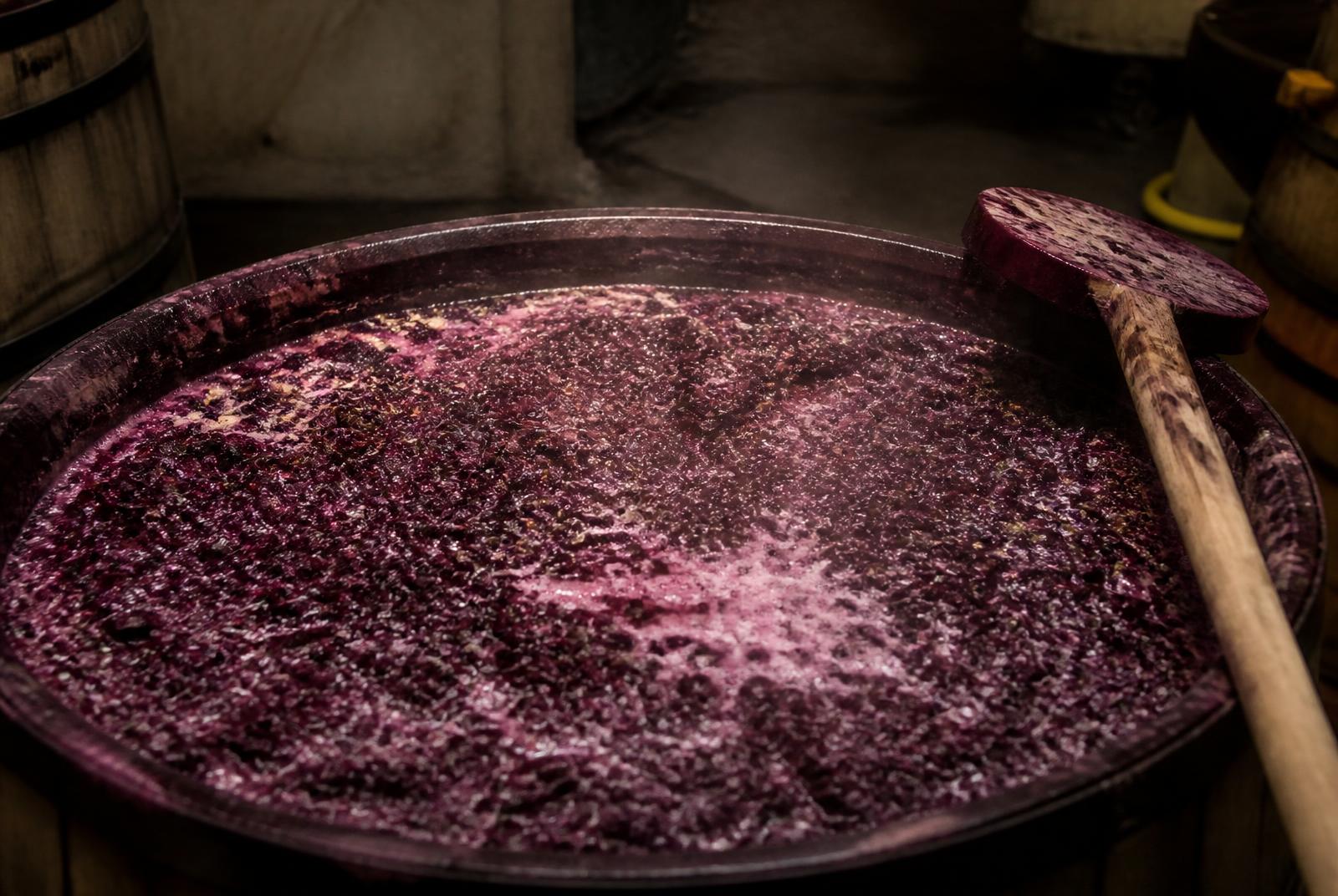 Tina abierta con pasta de uva tinta en plena fermentación espontánea y bazuqueador de madera